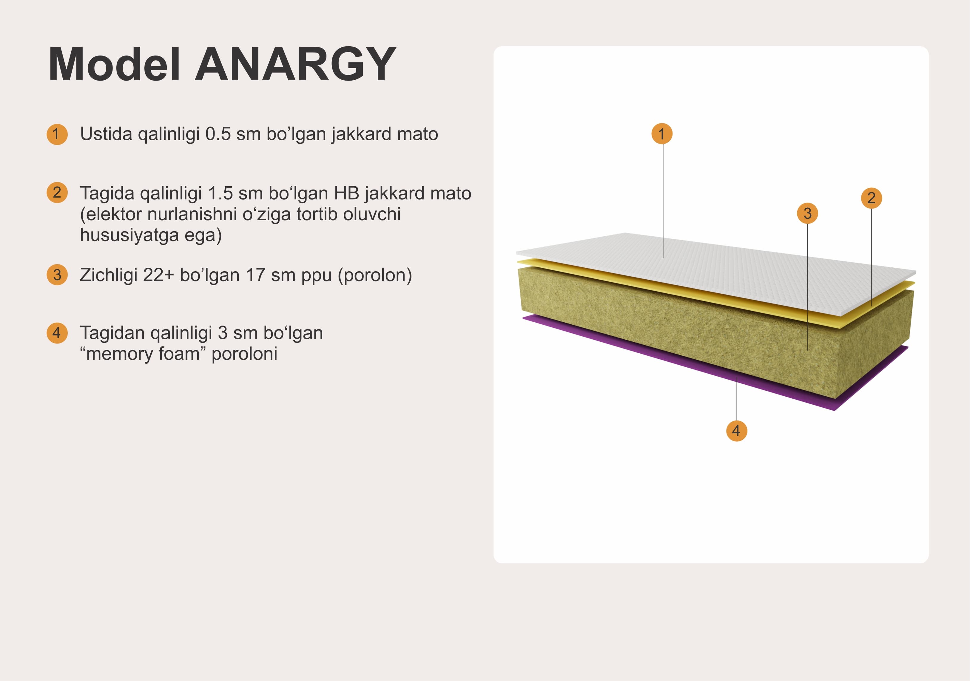 MODEL ANARGY